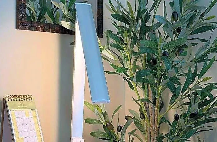 Calathea Place Staycation By Yuka Hotel